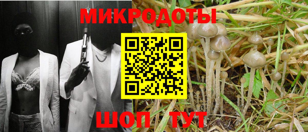 Куйбышев  Галлюциногенные грибы Cubensis  магазин  наркотиков  Вход с VPN 